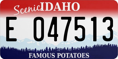 ID license plate E047513