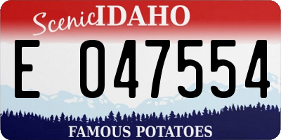 ID license plate E047554