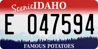ID license plate E047594