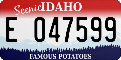 ID license plate E047599