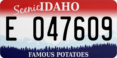 ID license plate E047609