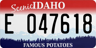 ID license plate E047618