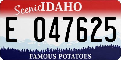 ID license plate E047625