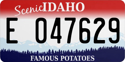 ID license plate E047629
