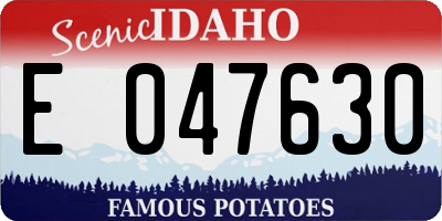 ID license plate E047630