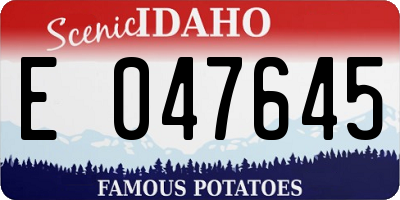 ID license plate E047645