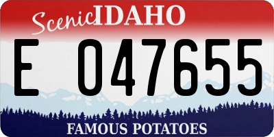 ID license plate E047655