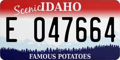 ID license plate E047664