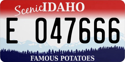 ID license plate E047666