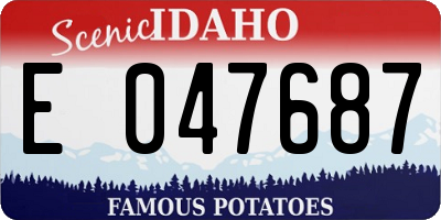 ID license plate E047687