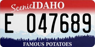 ID license plate E047689