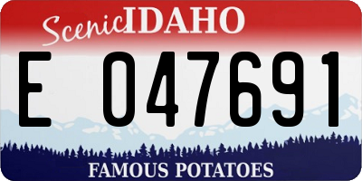 ID license plate E047691