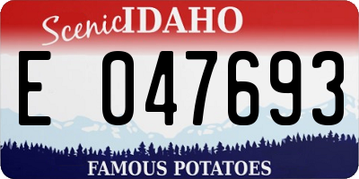 ID license plate E047693