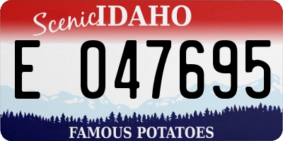 ID license plate E047695