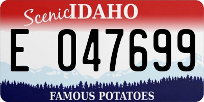 ID license plate E047699