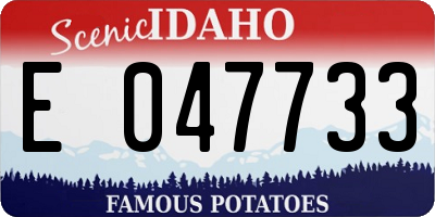 ID license plate E047733