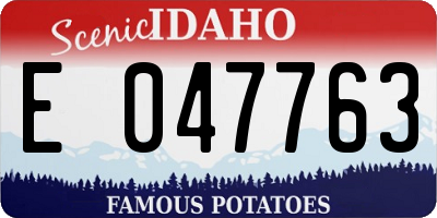 ID license plate E047763