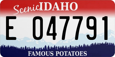 ID license plate E047791