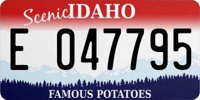 ID license plate E047795