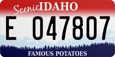 ID license plate E047807