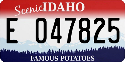 ID license plate E047825