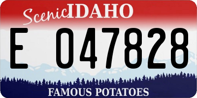 ID license plate E047828