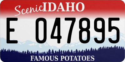 ID license plate E047895