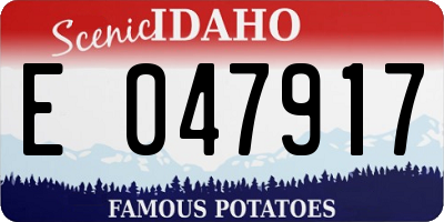 ID license plate E047917