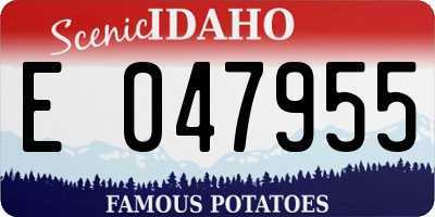 ID license plate E047955
