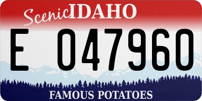 ID license plate E047960