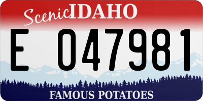 ID license plate E047981