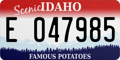 ID license plate E047985