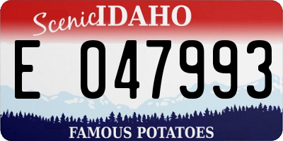 ID license plate E047993