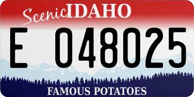 ID license plate E048025