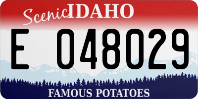 ID license plate E048029