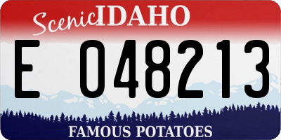 ID license plate E048213