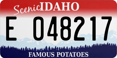 ID license plate E048217