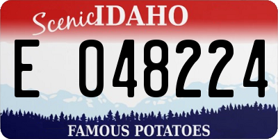 ID license plate E048224