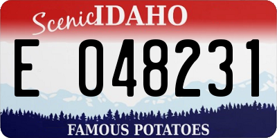 ID license plate E048231