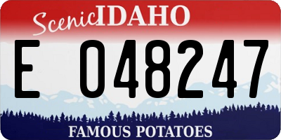 ID license plate E048247