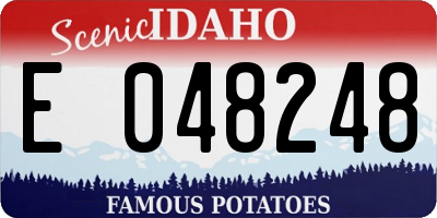 ID license plate E048248