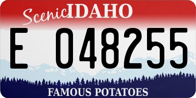 ID license plate E048255