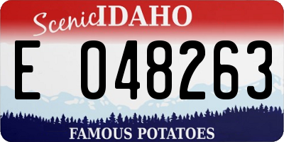 ID license plate E048263