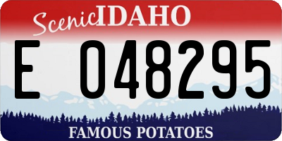 ID license plate E048295