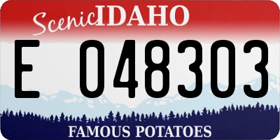 ID license plate E048303