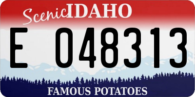 ID license plate E048313