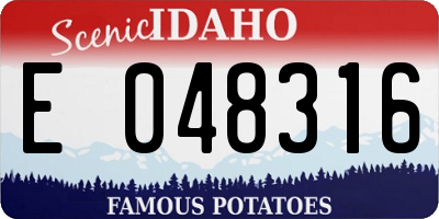 ID license plate E048316