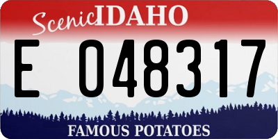 ID license plate E048317
