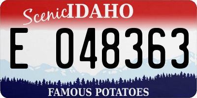 ID license plate E048363