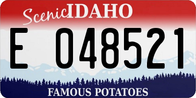 ID license plate E048521